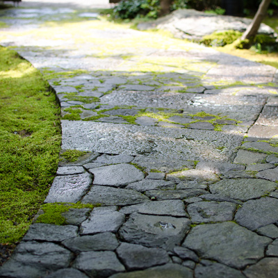 市中山居の庭